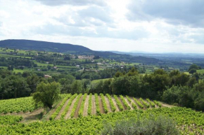 Gîte en provence au coeur des vignes